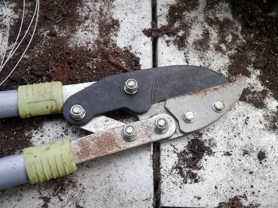 Trimmer: cosa sono, a cosa servono, quanto costano