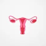 Endometriosi: perché non parlarne ancora?