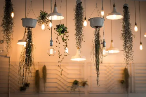 Idee creative per illuminare il giardino per feste