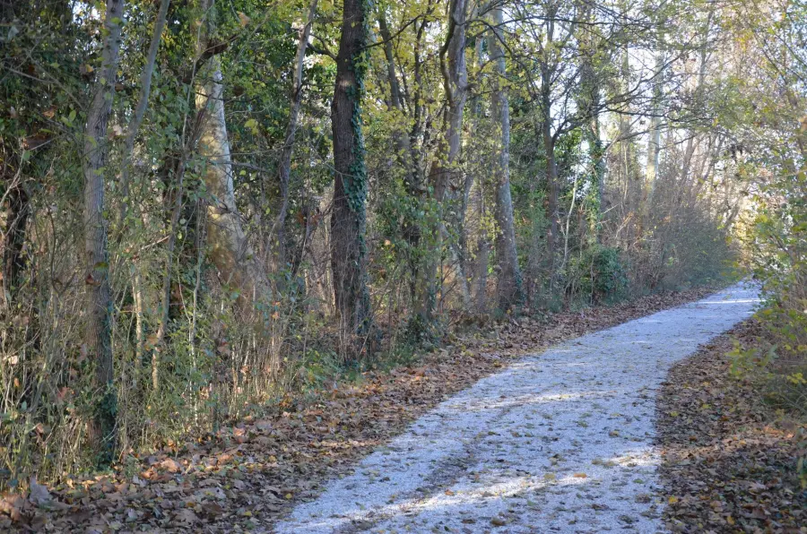 Sentieri vicino a me: come trovarli e prepararsi