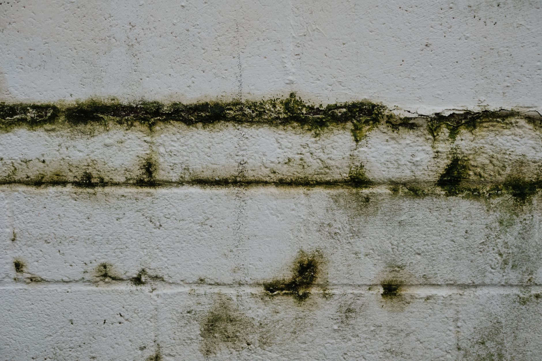 Eliminare l'umidità dai muri: cause e soluzioni